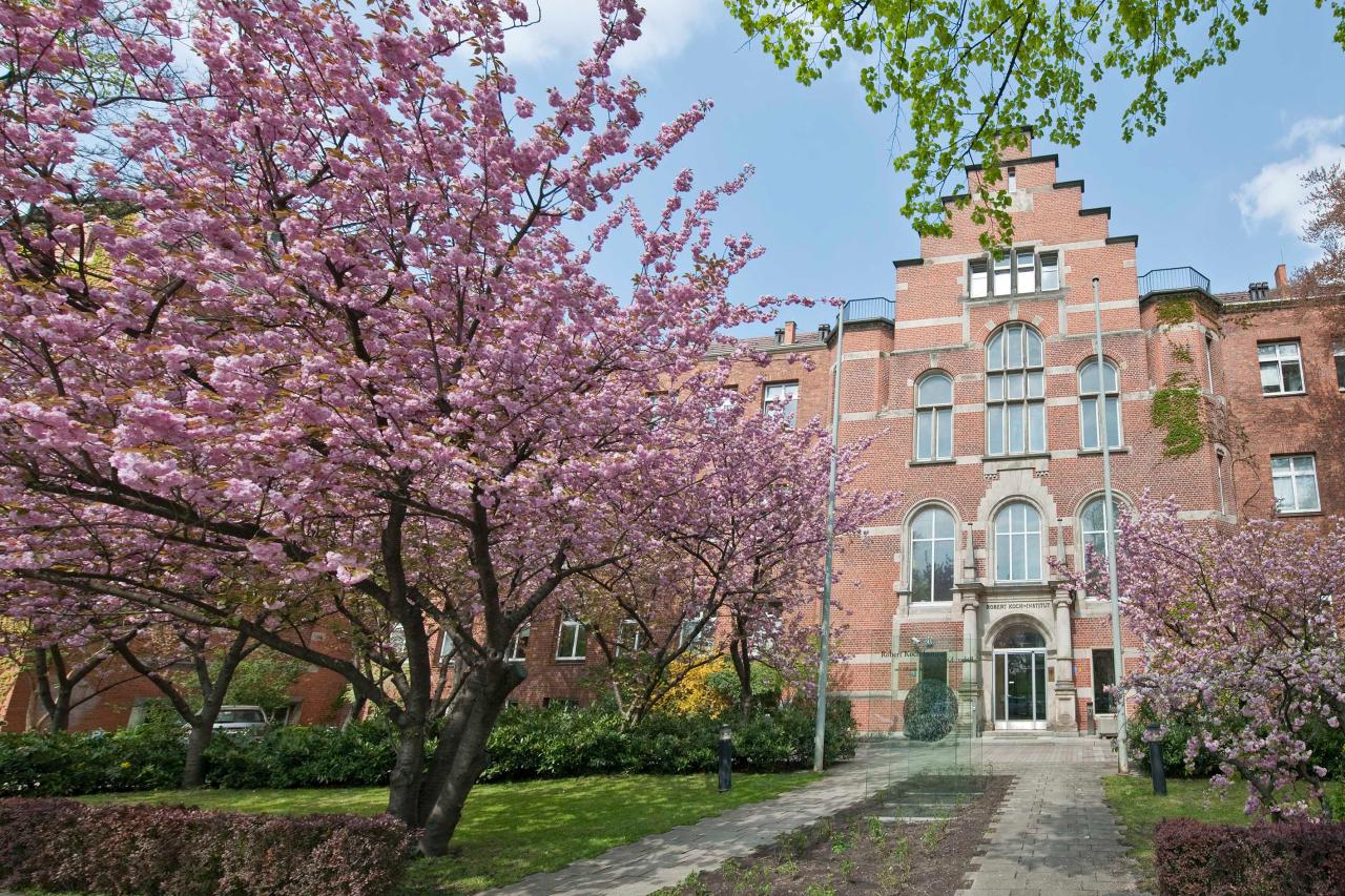 Historisches Gründerzeit-Backsteingebäude des RKI-Standorts am Nordufer Berlin Wedding hinter rosa blühenden Bäumen